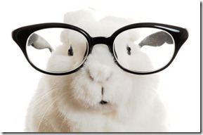 New Lenses on a bunny face